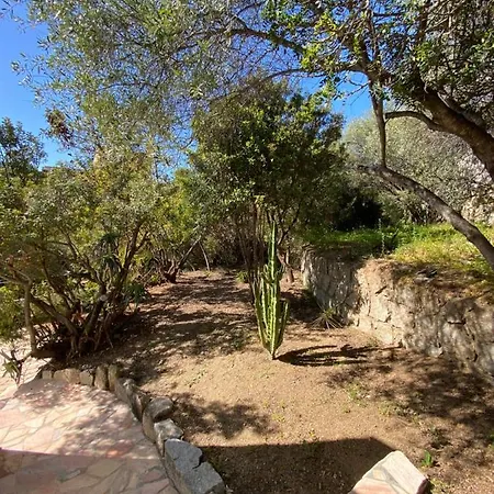 Cote Ajaccio (Corsica)