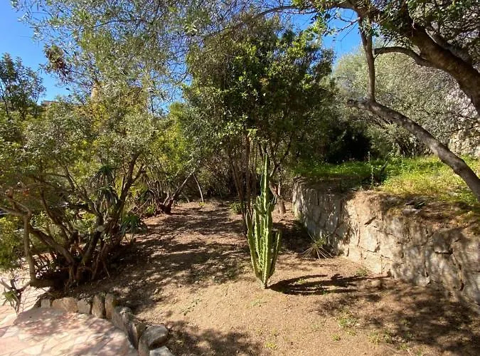 Cote Ajaccio (Corsica)